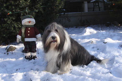 Robbie outside, on the snow, next to the stuffed caroller in front of the evergreens
